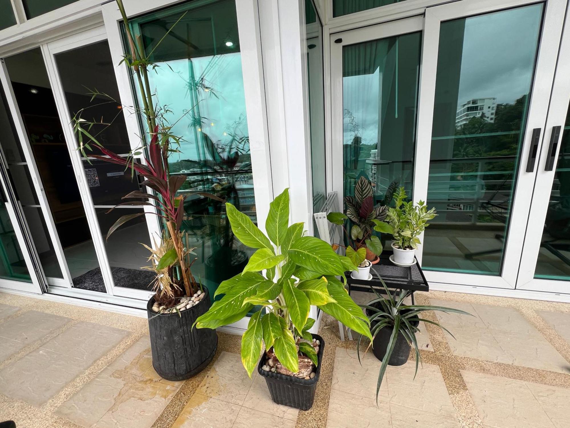 Karon Hill 1 Bedroom & Ocean, And Mountain View Ban Karon